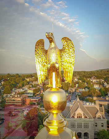 New Hampshire State House Eagle